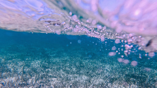 Can Water Really Hear You? The New Science Behind Water Memory