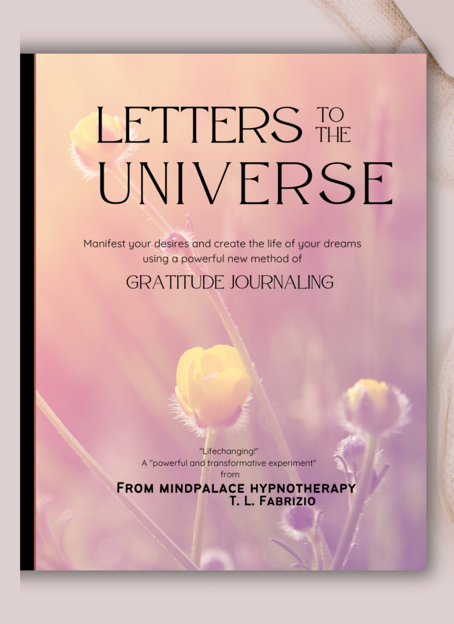 Letters to The Universe Gratitude Journal